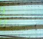 christine wodrascka - linéaire christine wodrascka - linéaire