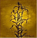 wovenhand - the laughing stalk wovenhand - the laughing stalk