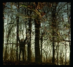 apoptose - bannwald apoptose - bannwald