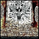 c.o. caspar - reports from this lunatic asylum c.o. caspar - reports from this lunatic asylum