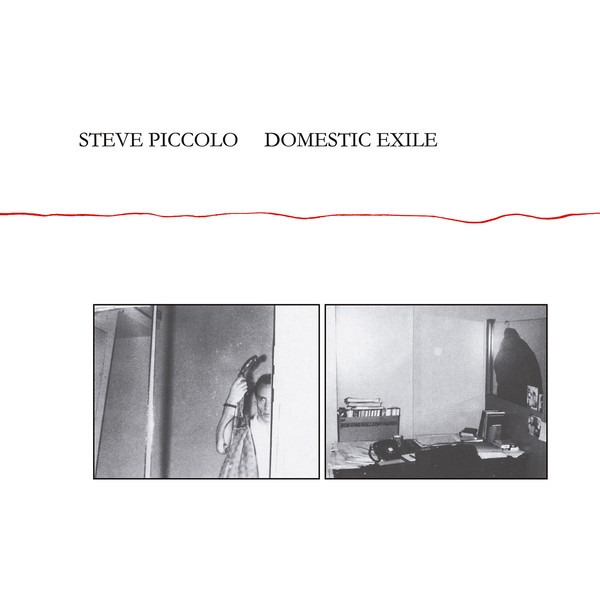 Steve Piccolo - Domestic Exile Steve Piccolo - Domestic Exile