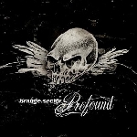 orange sector - profound orange sector - profound