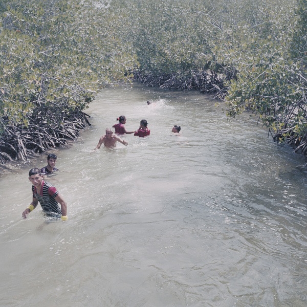 Bellows - Undercurrent Bellows - Undercurrent