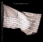 suicide - american supreme suicide - american supreme