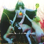 acid mothers temple - father moo & the black sheep acid mothers temple - father moo & the black sheep