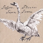 sufjan stevens - seven swans sufjan stevens - seven swans