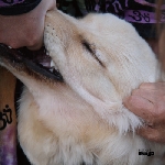 christian fennesz & jim o'rourke - it's hard for me to say i'm sorry christian fennesz & jim o'rourke - it's hard for me to say i'm sorry