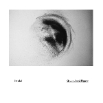 sendai (peter van hoesen & yves de mey) - ground and figure sendai (peter van hoesen & yves de mey) - ground and figure
