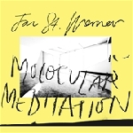 jan st. werner (mouse on mars) - molocular meditation jan st. werner (mouse on mars) - molocular meditation