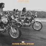 flower travellin' band - anywhere (180 gr.) flower travellin' band - anywhere (180 gr.)