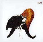 coil - black antlers coil - black antlers
