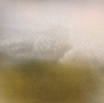 richard skelton - landings richard skelton - landings