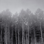 richard skelton - landings richard skelton - landings