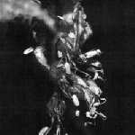 mike shiflet - sufferers mike shiflet - sufferers