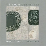 barry guy - inachis barry guy - inachis