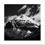 throbbing gristle - part two : the endless not / tg now (triple clear vinyl boxset) throbbing gristle - part two : the endless not / tg now (triple clear vinyl boxset)