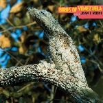 jean c. roche (david toop) - birds of venezuela jean c. roche (david toop) - birds of venezuela