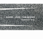 daniel levin - rob brown - divergent paths daniel levin - rob brown - divergent paths