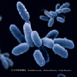 werchowska - pontevia - boubaker - glotosifres werchowska - pontevia - boubaker - glotosifres