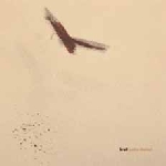 pedro chambel - bruit pedro chambel - bruit