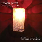 daniel formo - nils henrik asheim - organ point (hammond dialogues vol. 1) daniel formo - nils henrik asheim - organ point (hammond dialogues vol. 1)