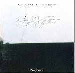 sylvie courvoisier - mark nauseef - birds of a feather sylvie courvoisier - mark nauseef - birds of a feather
