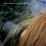 maurizio bianchi / m.b. & craig hilton - pu 94 maurizio bianchi / m.b. & craig hilton - pu 94