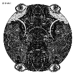 istvan - s/t istvan - s/t