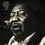 muddy waters - muddy muddy waters - muddy