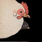 akita - gustafsson - o'rourke - one bird two bird akita - gustafsson - o'rourke - one bird two bird