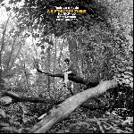 rodrigo amado (joe mcphee - kent kessler - chris corsano) - a history of nothing rodrigo amado (joe mcphee - kent kessler - chris corsano) - a history of nothing
