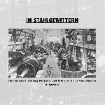 v/a - in stahlgewittern II v/a - in stahlgewittern II